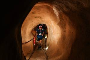 BIB: 
                            <button type="button" onclick="openModal(26241645)" class="btn btn-primary btn-sm float-right btn-popup" data-toggle="modal" data-target=".modal-high-quality">
                        <i class="fas fa-shopping-cart"></i> Add to Cart
                    </button>
                                            <button type="button" onclick="isThisMe(26241645, true)" class="btn btn-success btn-sm float-right btn-popup btn-isme hidden" data-toggle="tooltip" data-placement="bottom" title="นี่คือรูปของคุณใช่ไหม คลิกที่นี่เพื่อเอาเข้าอัลบั้ม">
                        <i class="fas fa-plus"></i> Add to album
                    </button>
                    <button type="button" onclick="isThisMe(26241645, false)" class="btn btn-warning btn-sm float-right btn-popup btn-isnotme hidden">
                        <i class="fas fa-ban"></i> Remove from album
                    </button>